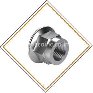 Copper Nickel Screws