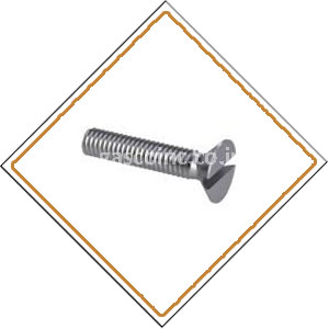 Copper Nickel 70/30 Screws