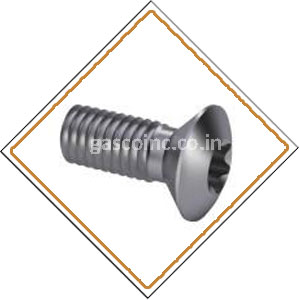 Copper Nickel Screws