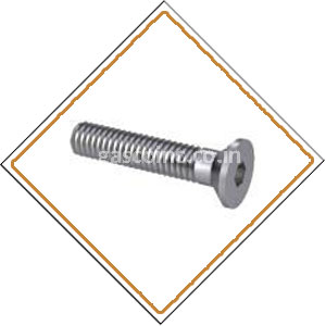 Copper Nickel Screws