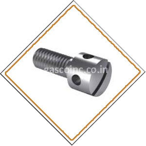 Copper Nickel 90/10 Screws