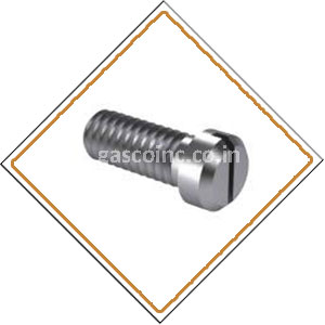 Copper Nickel 70/30 Screws