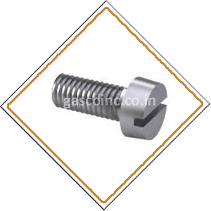 Copper Nickel 70/30 Screws