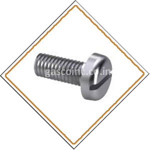 Copper Nickel Screws