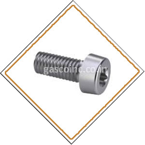 Copper Nickel Screws