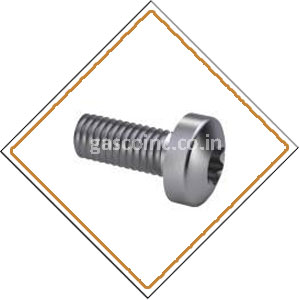 Copper Nickel Screws