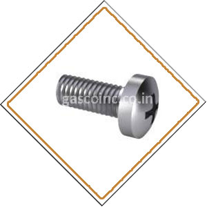 Copper Nickel 90/10 Screws