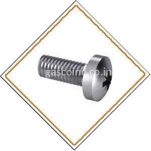 Copper Nickel 70/30 Screws