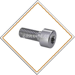 Copper Nickel Screws