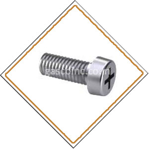 Copper Nickel Screws