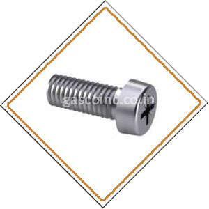 Copper Nickel 90/10 Screws