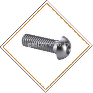 Copper Nickel 70/30 Screws