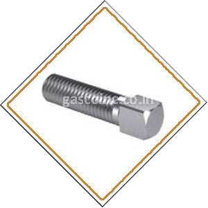 Copper Nickel Screws