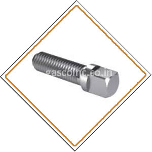 Copper Nickel 70/30 Screws