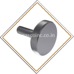 Copper Nickel Screws