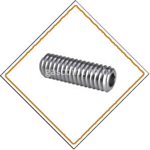 Copper Nickel Screws