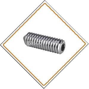 Copper Nickel 70/30 Screws