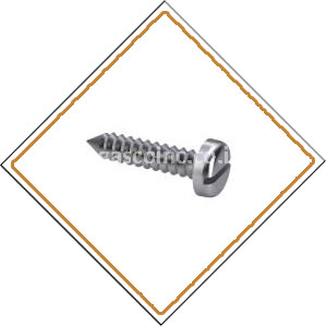 Copper Nickel 90/10 Screws