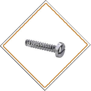 Copper Nickel Screws