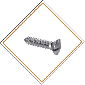 Copper Nickel 90/10 Screws