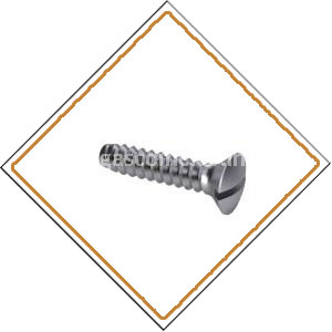 Copper Nickel 90/10 Screws