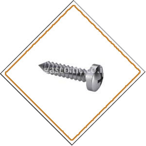 Copper Nickel 70/30 Screws