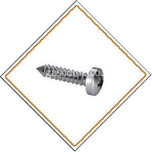 Copper Nickel 70/30 Screws