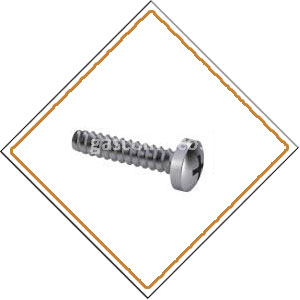 Copper Nickel 70/30 Screws