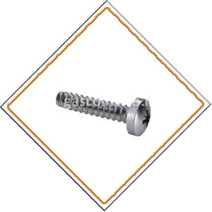 Copper Nickel 70/30 Screws