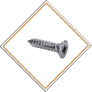 Copper Nickel 90/10 Screws